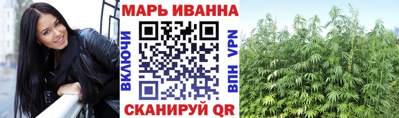 Канабис гибрид  Струнино 